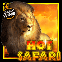 Hot Safari