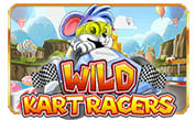 Wild Kart Racers