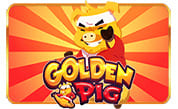 Golden Pig